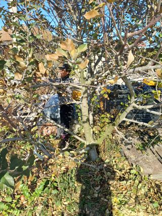 홍순오님의 자유주제 · 자유게시판 작성글 사진