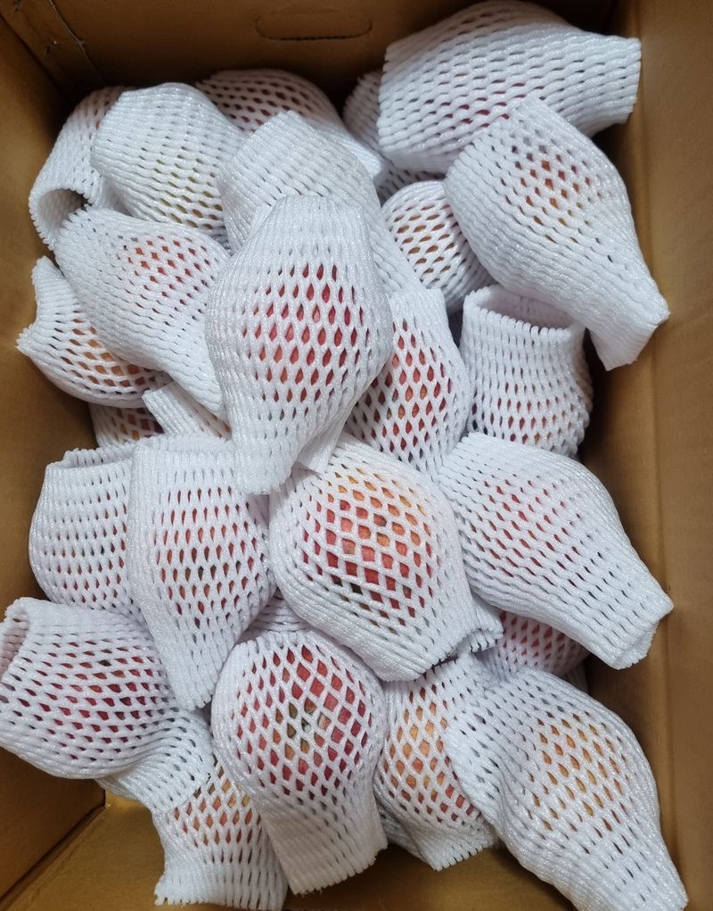 장터 상품 [봉화사과 10키로 ] 썸네일