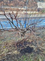 팜모닝 자유주제·자유게시판 게시글 이미지