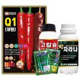 팜모닝 · 게시글 이미지