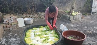 김영진님의 자유주제 · 자유게시판 작성글 사진