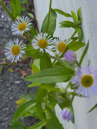 무형교회목사 안영진님의 작성글 사진