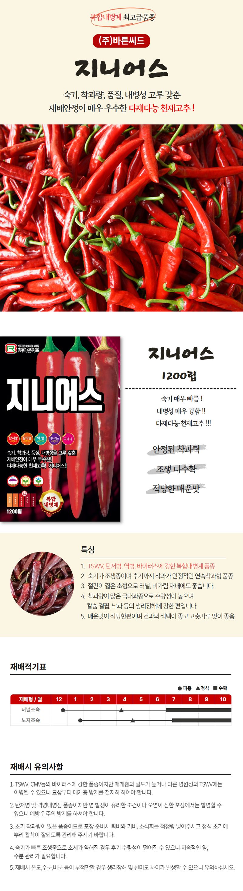 산들마켓,씨앗마켓님의 장터 판매 상품 [산들마켓 바른씨드 지니어스 고추씨앗 1200립 숙기 착과량 품질 복합내병계 다재다능 안정적인 고추씨 종자] 첨부 사진