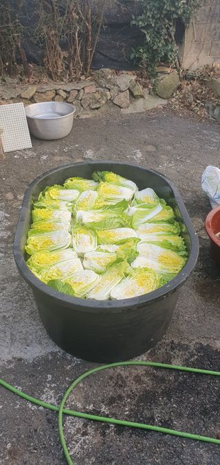 김영진님의 자유주제 · 자유게시판 작성글 사진