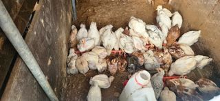 최갑수 님의 자유주제 · 자유게시판 작성글 사진