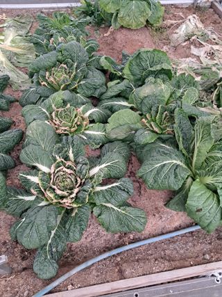 전희분님의 자유주제 · 자유게시판 작성글 사진