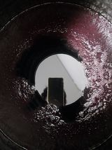 팜모닝 · 게시글 이미지