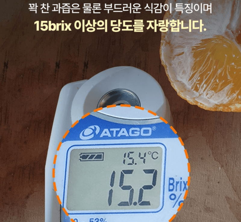 스피드번님의 장터 판매 상품 [제주도 한라봉] 첨부 사진