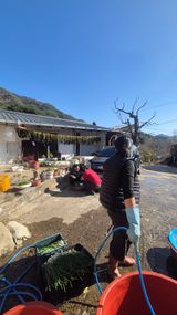 팜모닝 자유주제·자유게시판 게시글 이미지