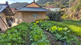 이애숙님의 자유주제 · 자유게시판 작성글 사진