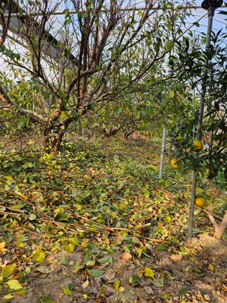 서정훈 님의 작성글 사진