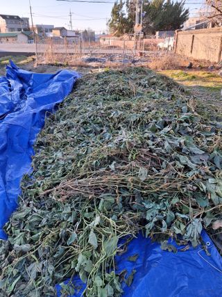 차영근님의 자유주제 · 자유게시판 작성글 사진