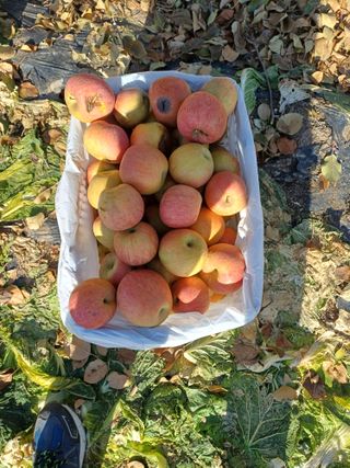 홍순오님의 자유주제 · 자유게시판 작성글 사진