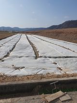 조종래님의 자유주제·자유게시판 작성글 사진