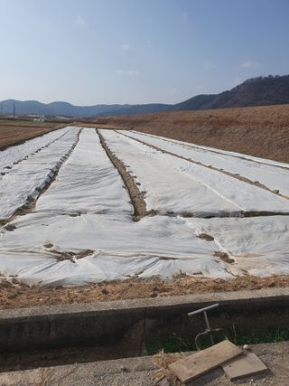 조종래님의 자유주제 · 자유게시판 작성글 사진