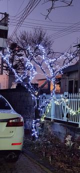 팜모닝 자유주제·자유게시판 게시글 이미지