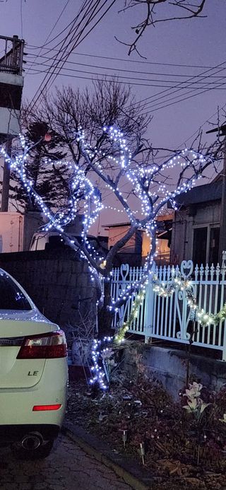 하은와송~♡♡♡~님의 자유주제 · 자유게시판 작성글 사진