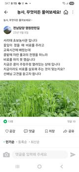 팜모닝 자유주제·자유게시판 게시글 이미지
