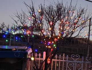 하은와송~♡♡♡~님의 자유주제 · 자유게시판 작성글 사진