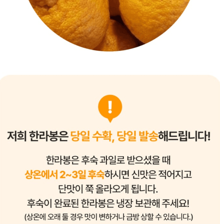 스피드번님의 장터 판매 상품 [제주도 한라봉] 첨부 사진