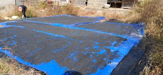 영원한한길님의 자유주제 · 자유게시판 작성글 사진