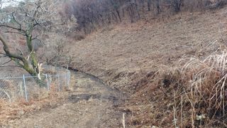 이순기님의 작성글 사진