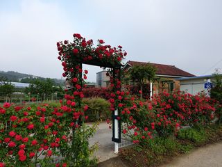 신득경님의 작성글 사진