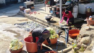 이애숙님의 자유주제 · 자유게시판 작성글 사진