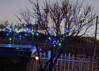 하은와송~♡♡♡~님의 자유주제 · 자유게시판 작성글 사진