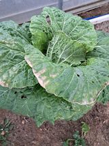 팜모닝 자유주제·자유게시판 게시글 이미지