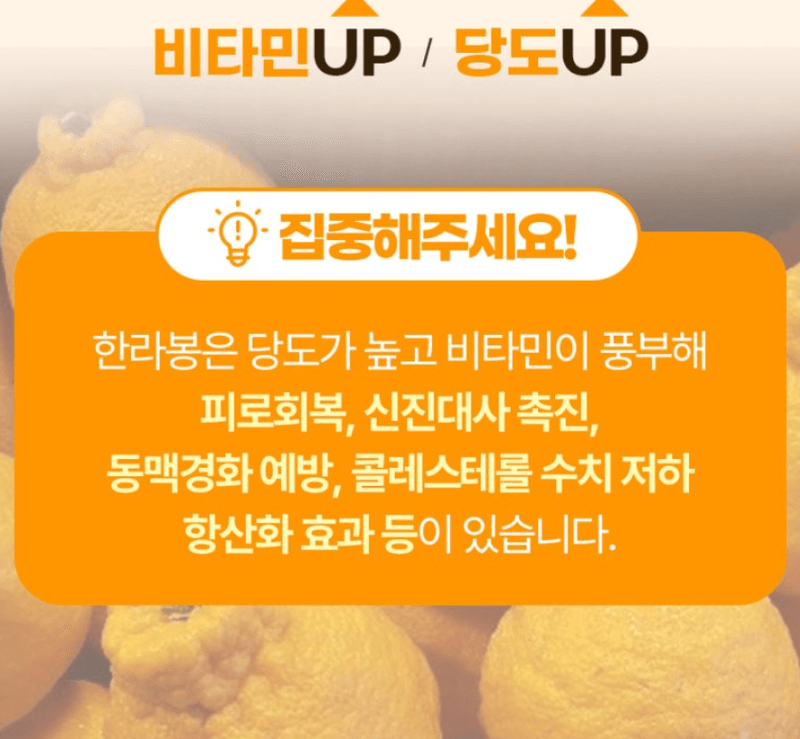 스피드번님의 장터 판매 상품 [제주도 한라봉] 첨부 사진