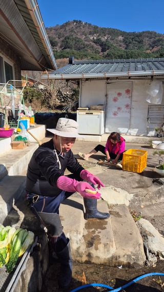 이애숙님의 자유주제 · 자유게시판 작성글 사진