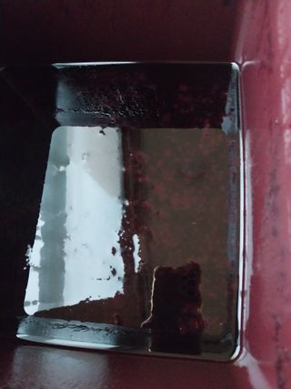 아로대추님의 작성글 사진