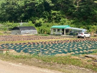 김순재님의 작성글 사진