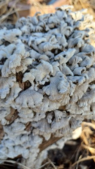 박신영님의 자유주제 · 자유게시판 작성글 사진