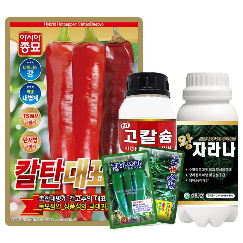 장터 상품 [산들마켓 칼탄대표 고추 씨앗 1200립 사은품 4종증정 복합내병계 극대과종 중조생종 건고추씨 종자] 썸네일