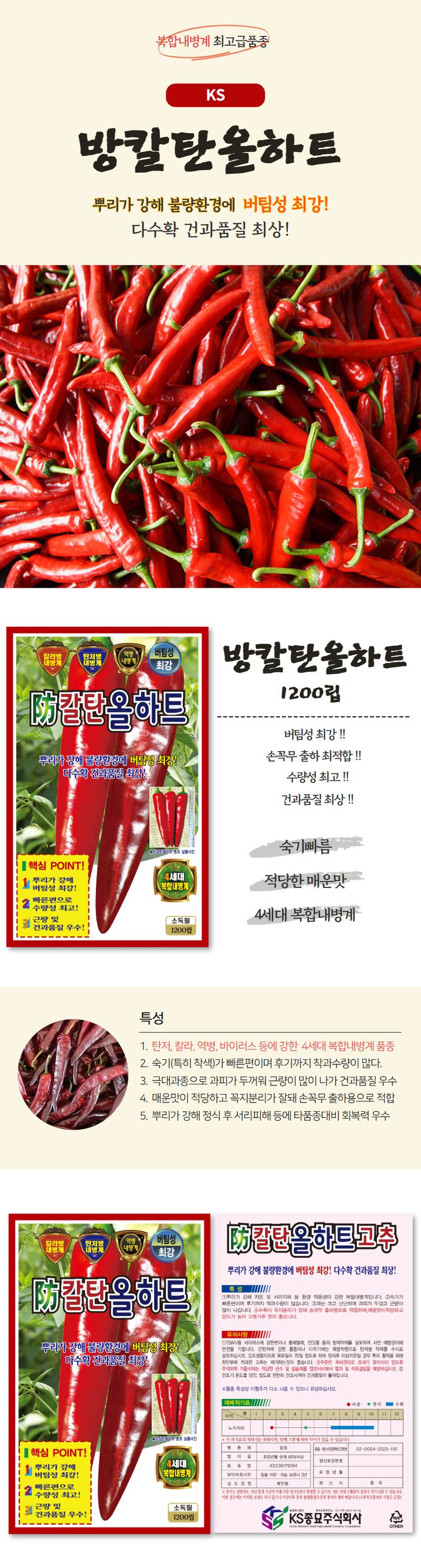 산들마켓,씨앗마켓님의 장터 판매 상품 [방칼탄올하트 고추 씨앗 1200립 4세대 복합내병계 꼭무 출하용 적합 서리피해 강한 건과 최상 고추씨 종자] 첨부 사진
