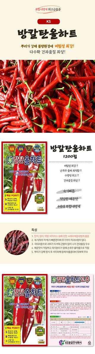 산들마켓,씨앗마켓님의 작성글 사진