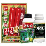 팜모닝 · 게시글 이미지