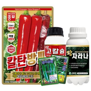 산들마켓,씨앗마켓님의 작성글 사진