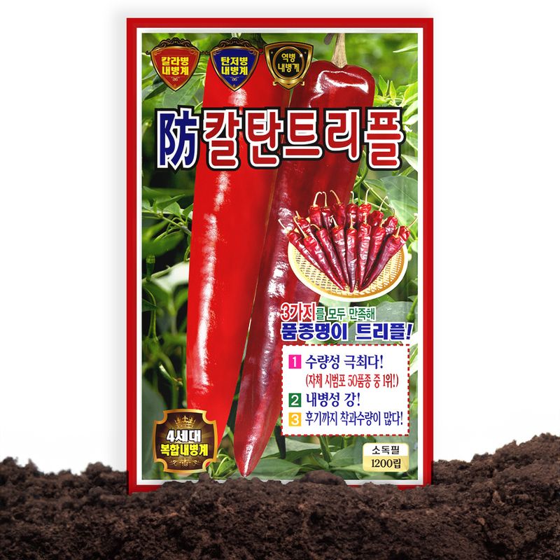 산들마켓,씨앗마켓님의 장터 판매 상품 [방칼탄트리플 고추 씨앗 1200립 복합내병계 극대과종 다수확 고추씨 종자] 첨부 사진