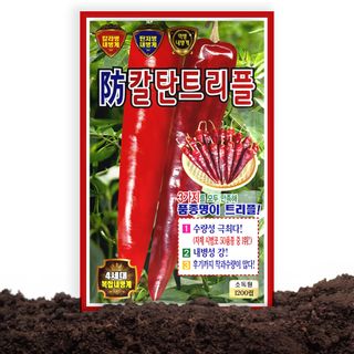 산들마켓,씨앗마켓님의 작성글 사진