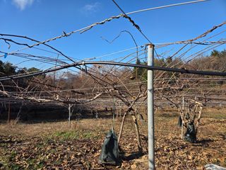 노고단님의 자유주제 · 자유게시판 작성글 사진