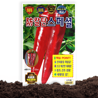 산들마켓,씨앗마켓님의 작성글 사진