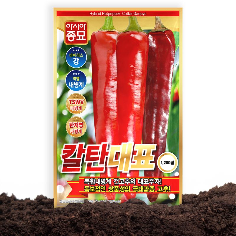 산들마켓,씨앗마켓님의 장터 판매 상품 [산들마켓 칼탄대표 고추 씨앗 1200립 사은품 4종증정 복합내병계 극대과종 중조생종 건고추씨 종자] 첨부 사진