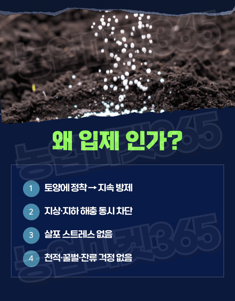농업마켓365님의 장터 판매 상품 [농업마켓365 융전 총채진나방킬 1.5kg 유기농업자재 친환경토양살충제 총채벌레 나방벌레 진딧물 살충 한방에 킬] 첨부 사진