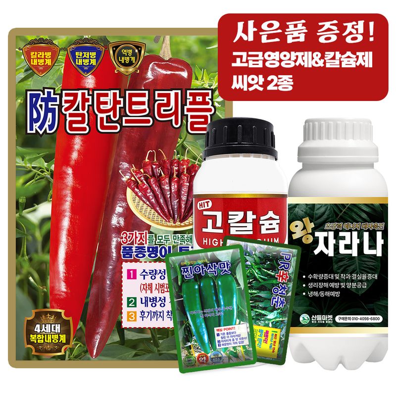 산들마켓,씨앗마켓님의 장터 판매 상품 [방칼탄트리플 고추 씨앗 1200립 복합내병계 극대과종 다수확 고추씨 종자] 첨부 사진