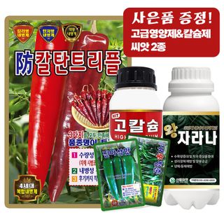 산들마켓,씨앗마켓님의 작성글 사진