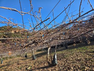 노고단님의 자유주제 · 자유게시판 작성글 사진