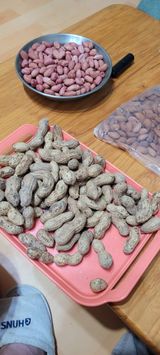 팜모닝 기타작물·자유게시판 게시글 이미지